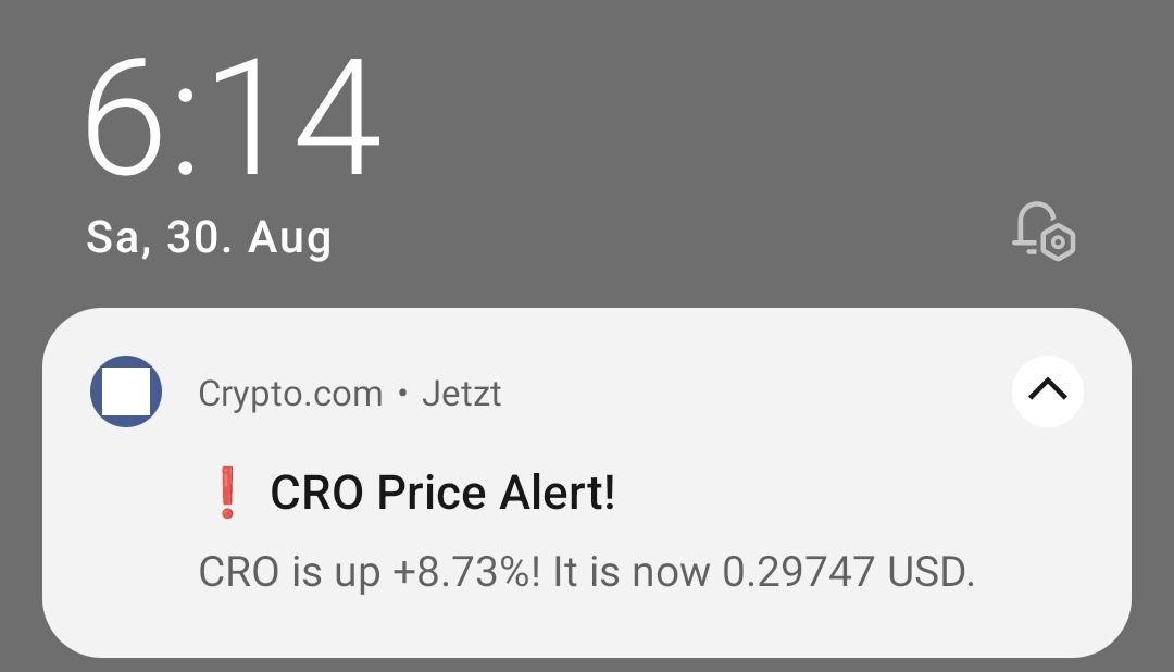 Dom Loves Investing | Road to 100K tweet media