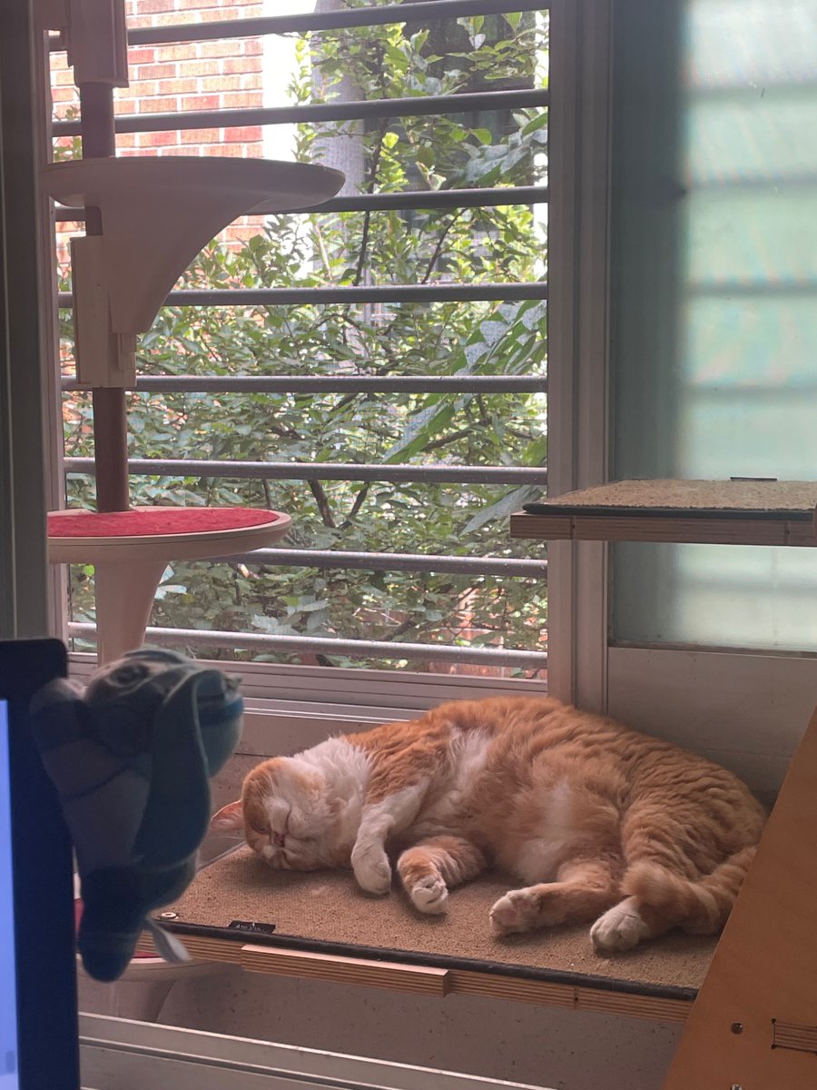 여름이 끝나가네