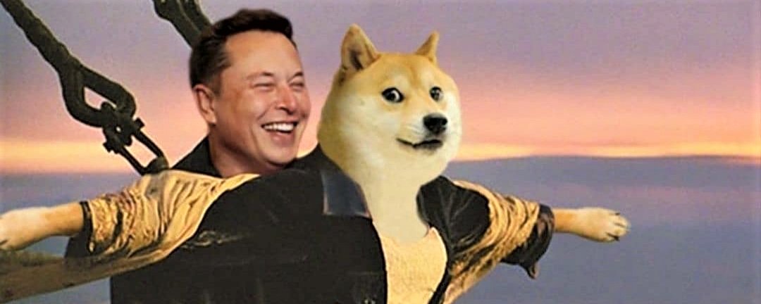 Elon Musk的律师将担任 2 亿美元的 Doge 狗狗币财库储备公司主席