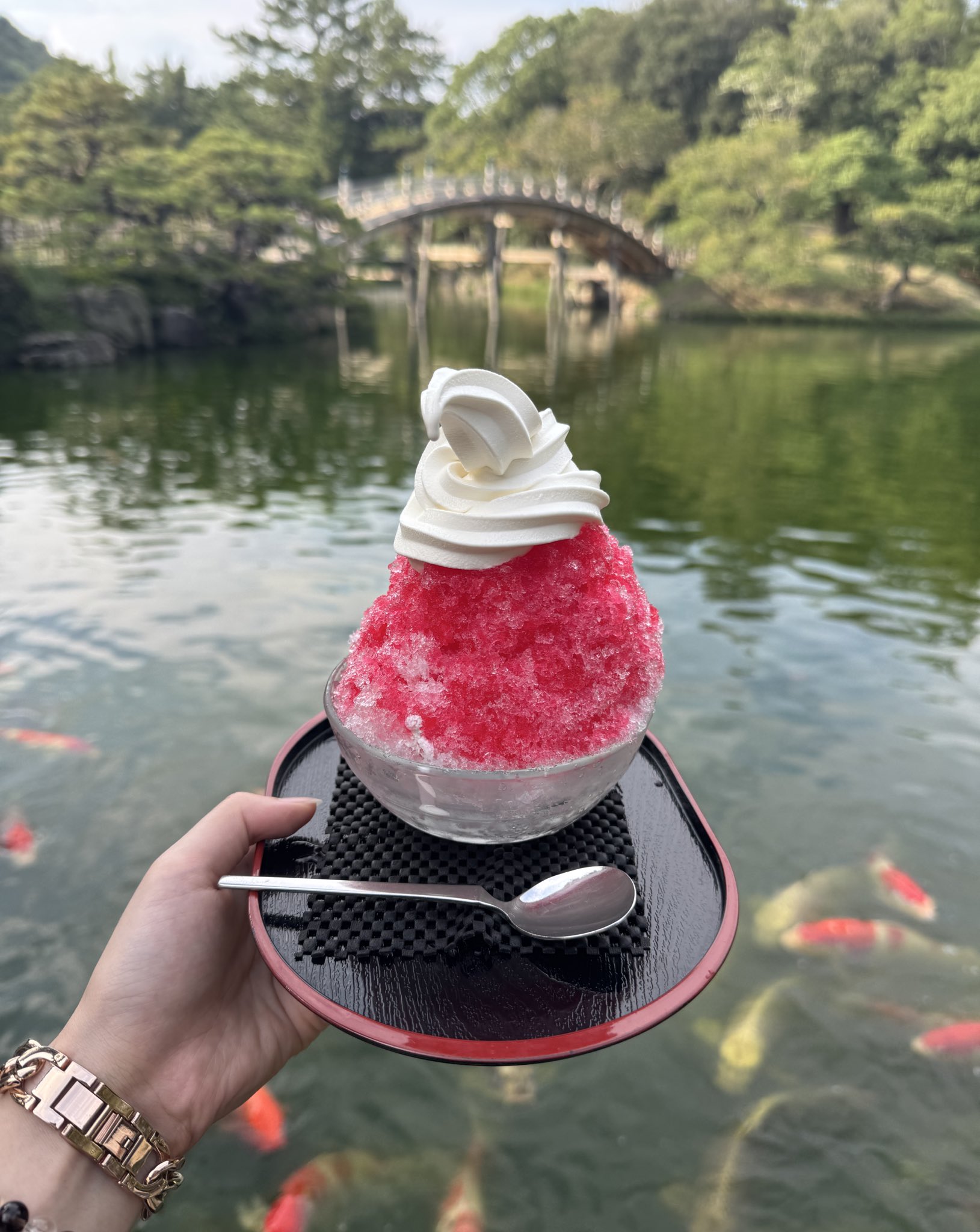 さあちゃんページ さあちゃん (@saachan0013) • Instagram photos and videos