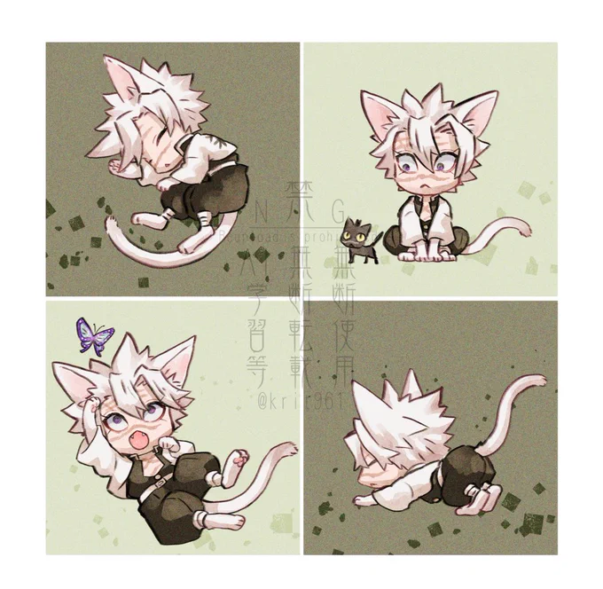 しなずガワさねみのこと
白い狼だと思ってるし
白い猫ちゃんだとも思ってる。 
