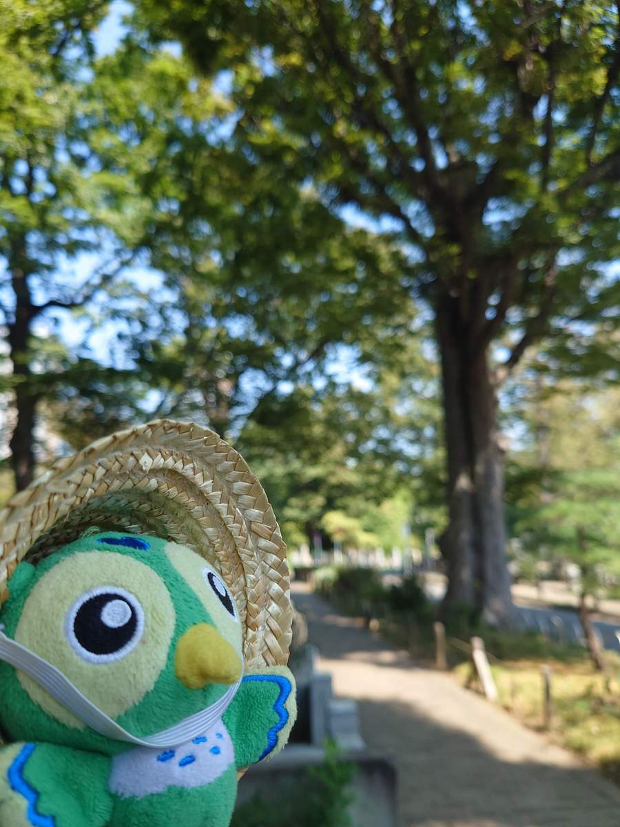 としまくん@としま未来文化財団 (@toshimakun_0906) / Posts / X