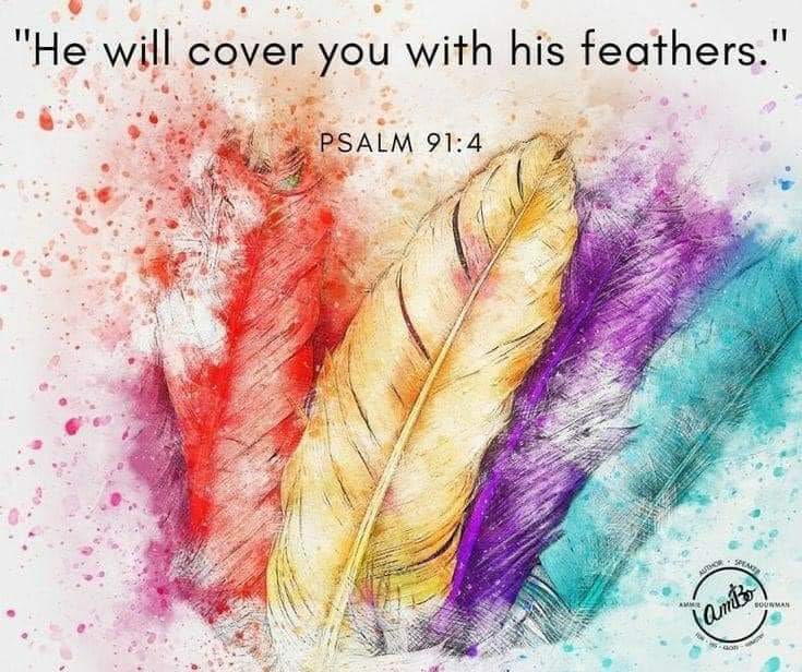 ♡ 𝓔𝓵𝓷𝓪 𝓙 ♡ (@elnajoubert) on Twitter photo 