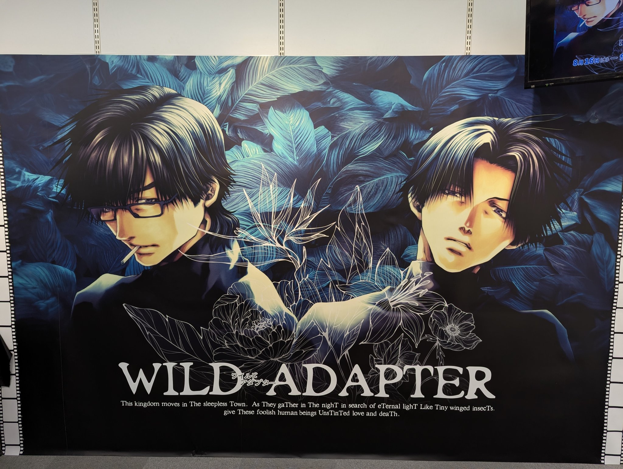 色彩の魔術師 ピートターナー写真集