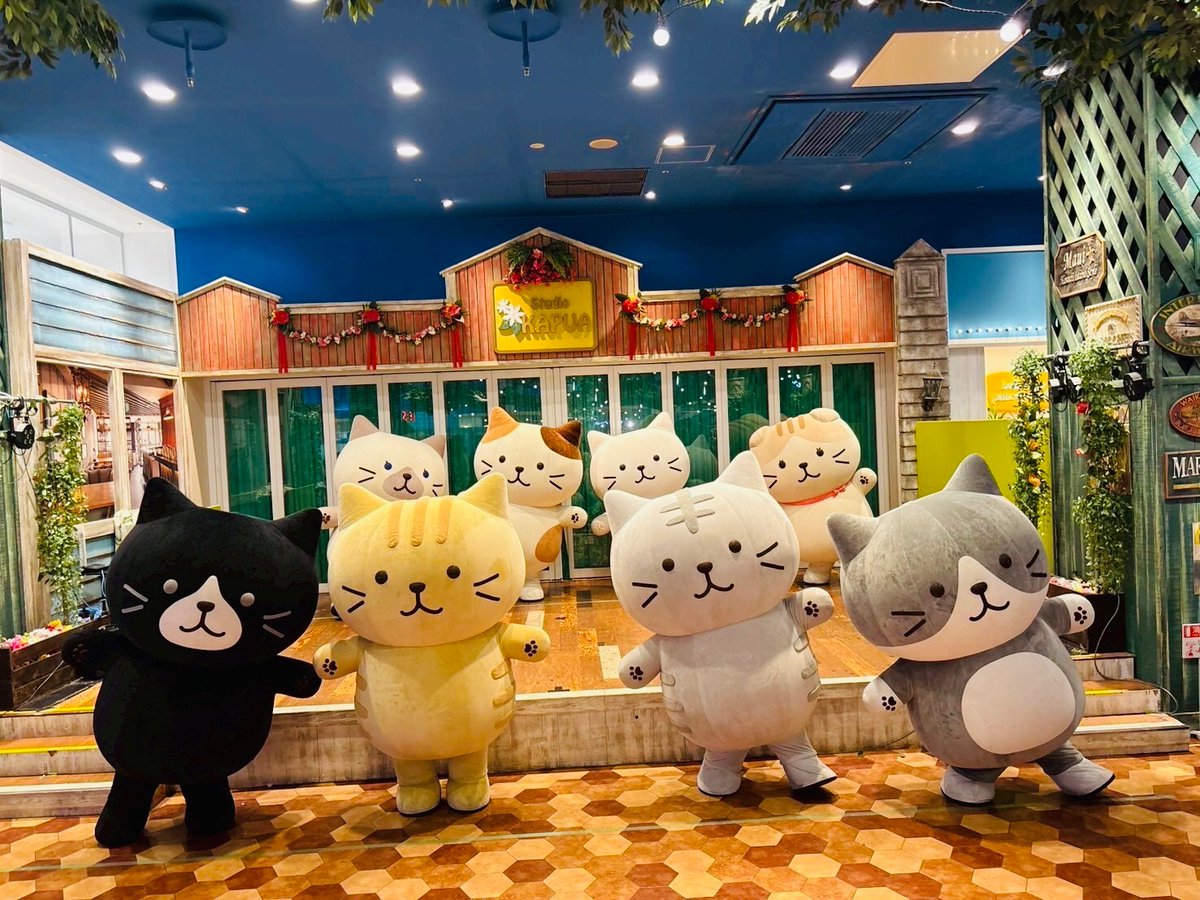 Fuku Fuku Nyanko　ふくにゃんマーケット　ストラップ　コンプリート Fuku Fuku Nyanko ふくにゃんマーケット ストラップ コンプリート Fuku