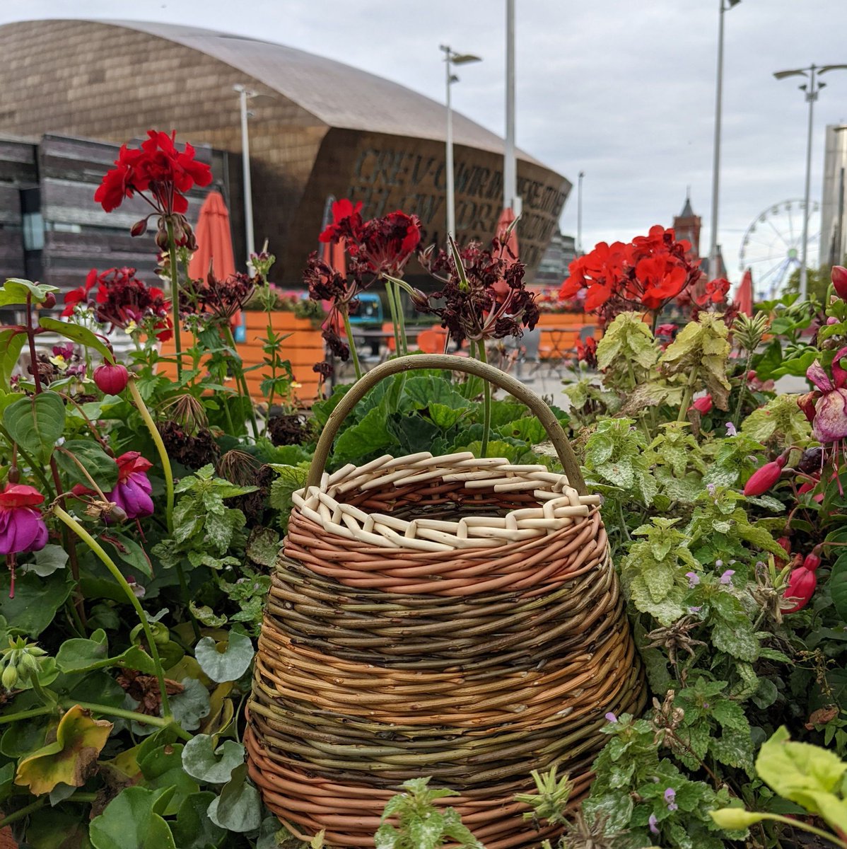 MakersWales's tweet image. Get creative on our Craft workshops!
Check out the full programme, including another installment of our Still Life Drawing Club!
#craftskillssharing #creativesummer #summercraft #familycraft #craftworkshops #makerswales #craftcooperative #enjoycraft
buff.ly/cgqQAm1