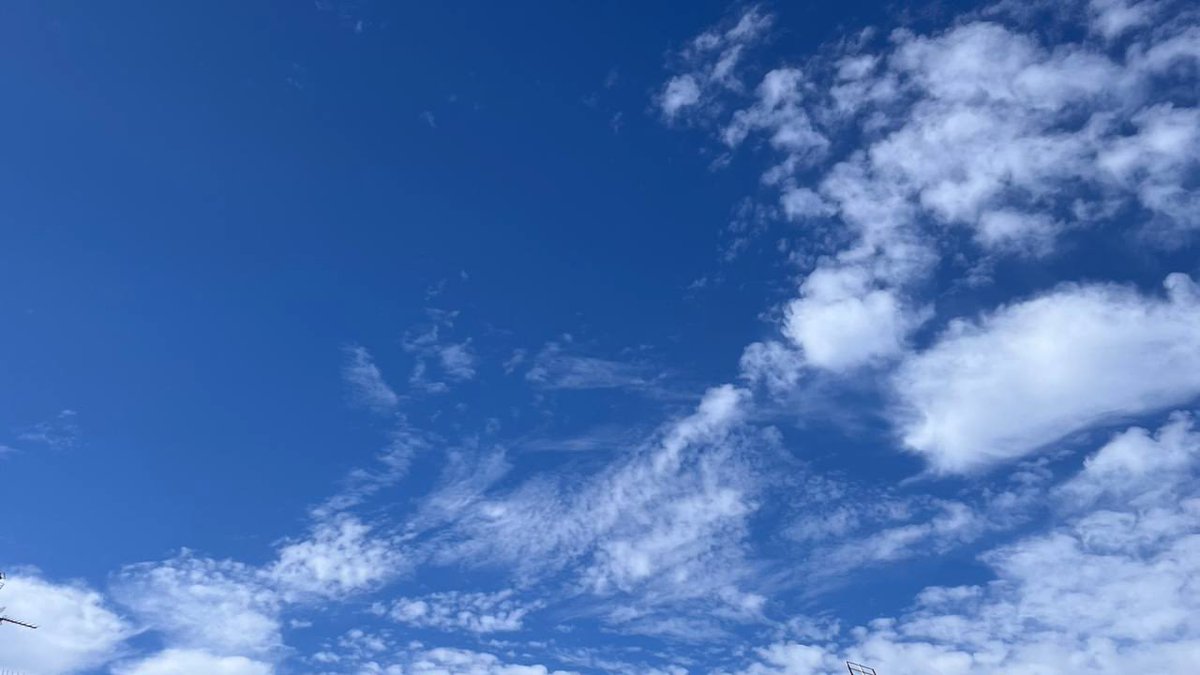 Sin embargo, seguimos aquí, para defender una mejor educación, una educación del siglo XXI, transdisciplinar, integradora y atenta a la diversidad.

<a href="/BegonaPedrosa/">Begoña Pedrosa</a> <a href="/Imanol_Pradales/">Imanol Pradales</a> <a href="/Gob_eus/">Eusko Jaurlaritza - Gobierno Vasco</a> <a href="/hezkuntzaEJGV/">Hezkuntza Saila - Departamento de Educación</a>
#osotuonada #osotubizirik #osotugosegreban #osotuhuelgahambre