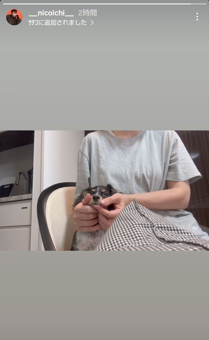 平成フラミンゴチアくじ一宮にこ顔ハンガー非売品 平成