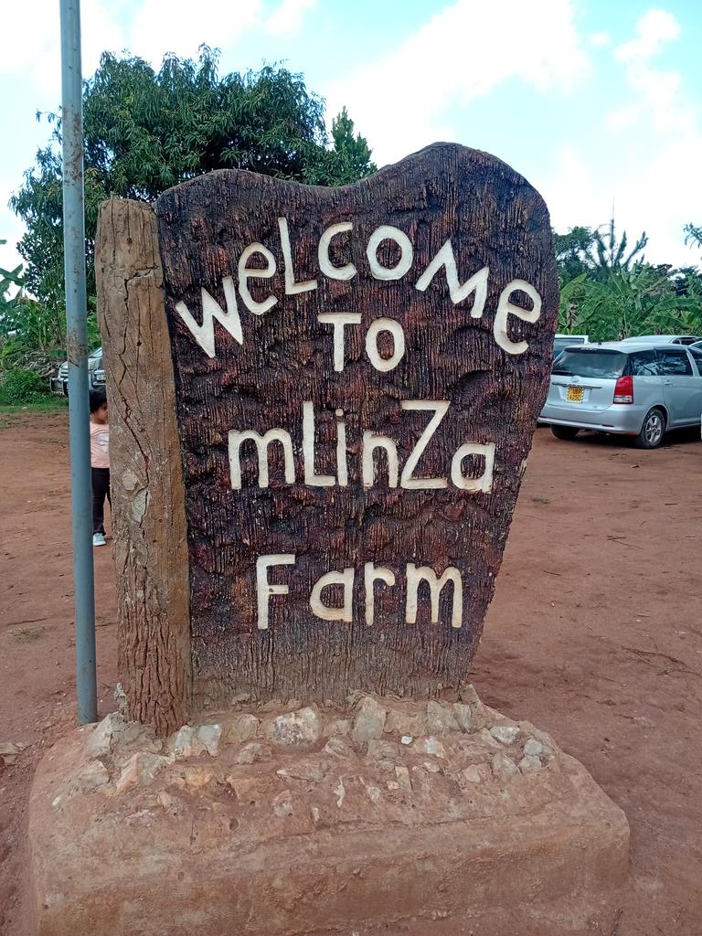 KCB Nkumba Volleyball Club tweet media