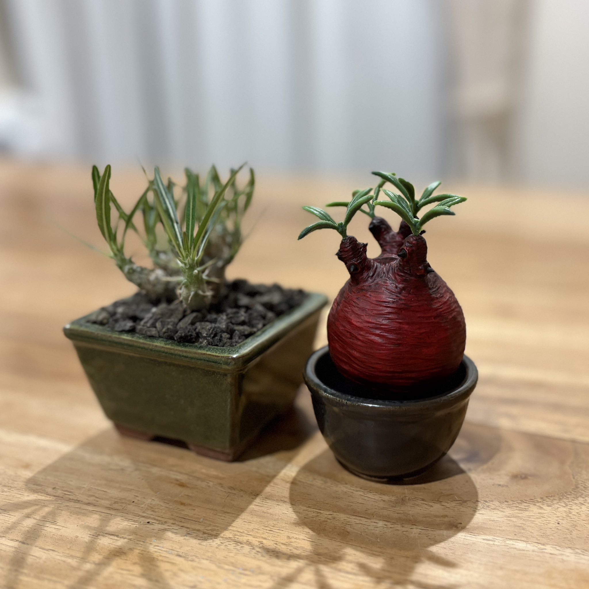 パキポディウム グラキリス型フィギュア「Grazombie」/塊根植物 珍奇