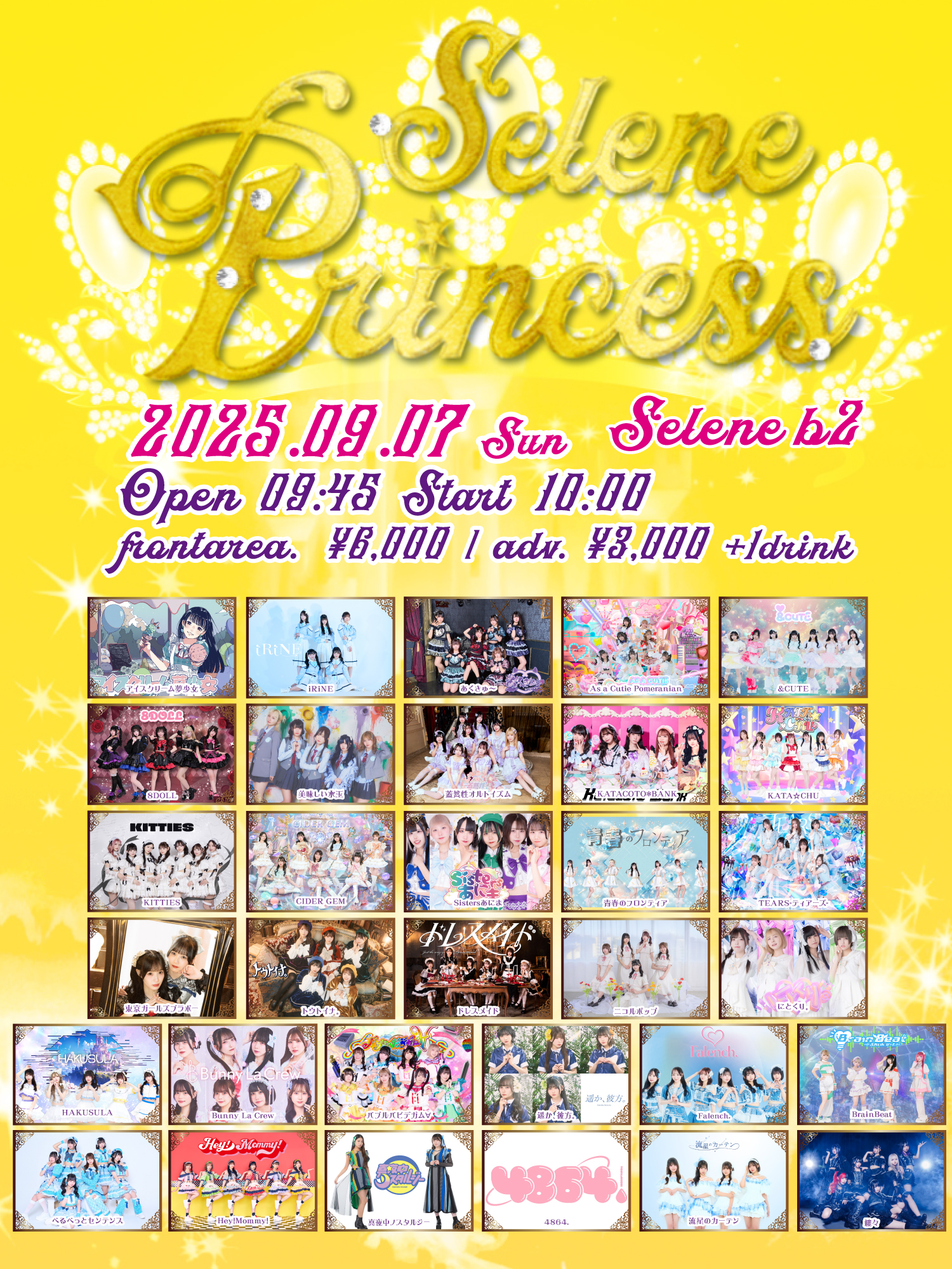 PRINCESS PRINCESS 解散コンサート半券/メモリアルチケット プリンセスプリンセス 1996年 解散 メモリアルチケット ライブ