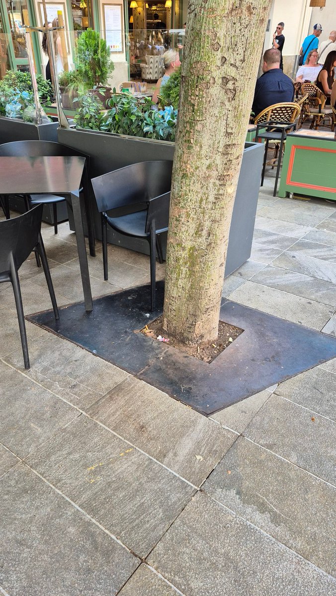 Hem tapat l'escocell amb una planxa de ferro per poder posar més cadires.  Gran idea!!! L'arbre que es foti. Que se'n vagi a la muntanya.