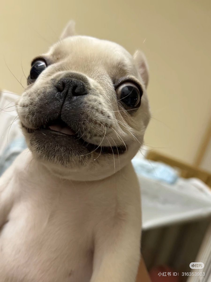 課題。全然終わらん。ゴミ。