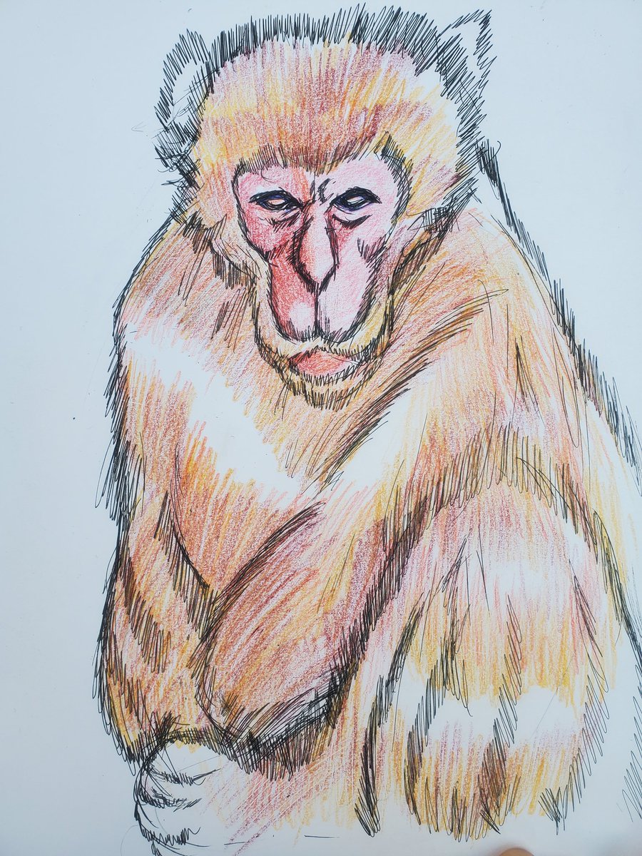 今日も行きます
2025年8月30日
21時から24時
吉祥寺北口サンロードにて
似顔絵描き活動
（インスピレーションによる文や絵も）および
愚痴聞き屋をする予定です