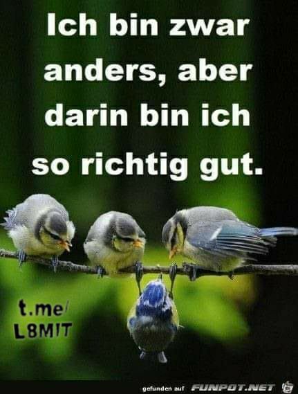 Mal was besinnliches: