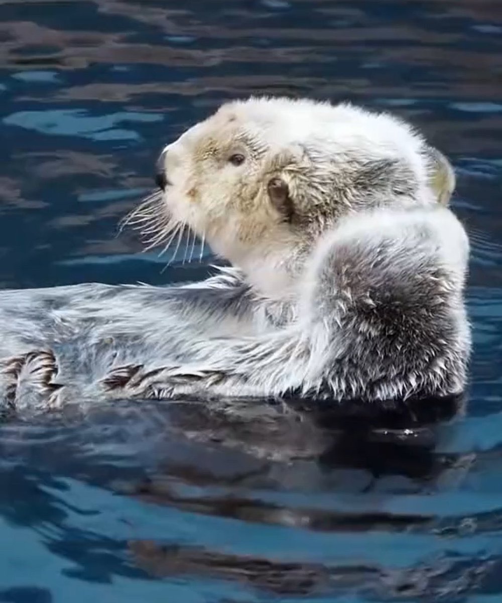 lmao why’s he always such a meme 😂🫳