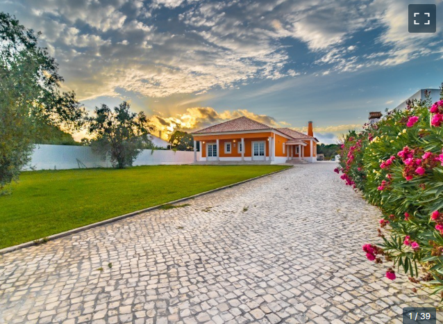 sharkinho tweet media