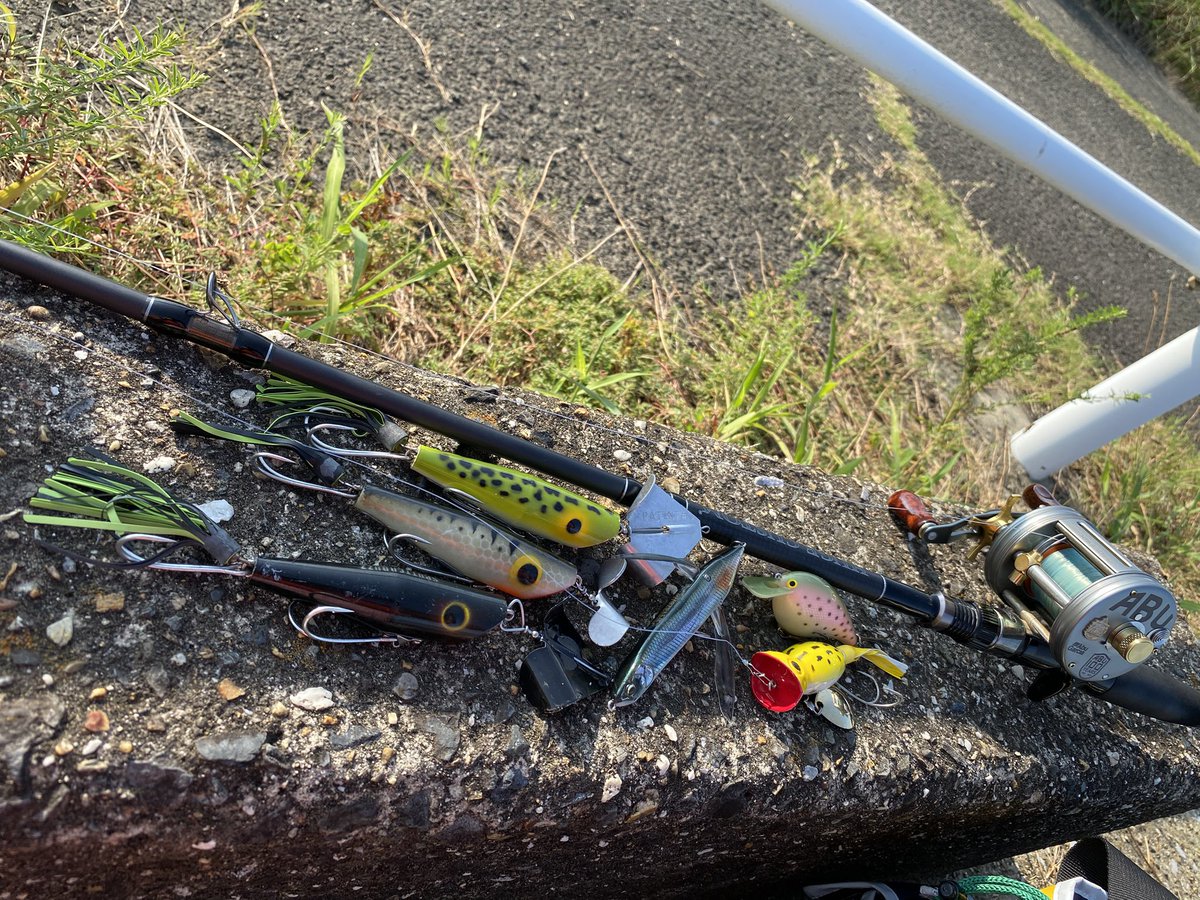 N0Agb's tweet photo. 今の淀川は、ウィードが多いので、こんな感じ😅 https://t.co/Lr9yYaUUZz