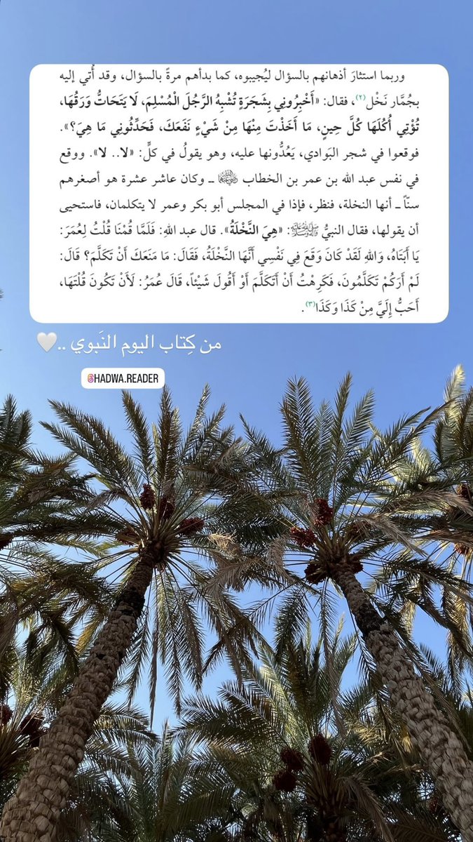 أخبروني بشجرة تُشْبِهُ الرجل المسلم ، لَا يَتَحَاتُّ ورقها ، تُؤْتِي أُكُلَهَا كُلَّ حين ، ما أَخَذْتَ منها من شَيْءٍ نَفَعَكَ، فحدثوني ما هي ؟
#مساء_الخير