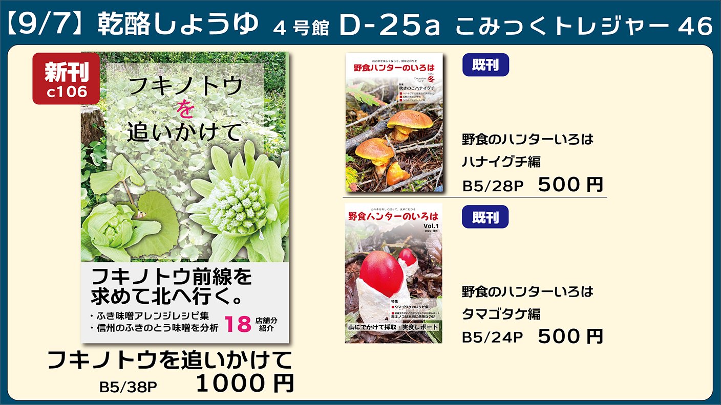 こむぎこお纏め4点 こむぎこお纏め4点 楽天市場】【8/1 最大500％ポイントバック+