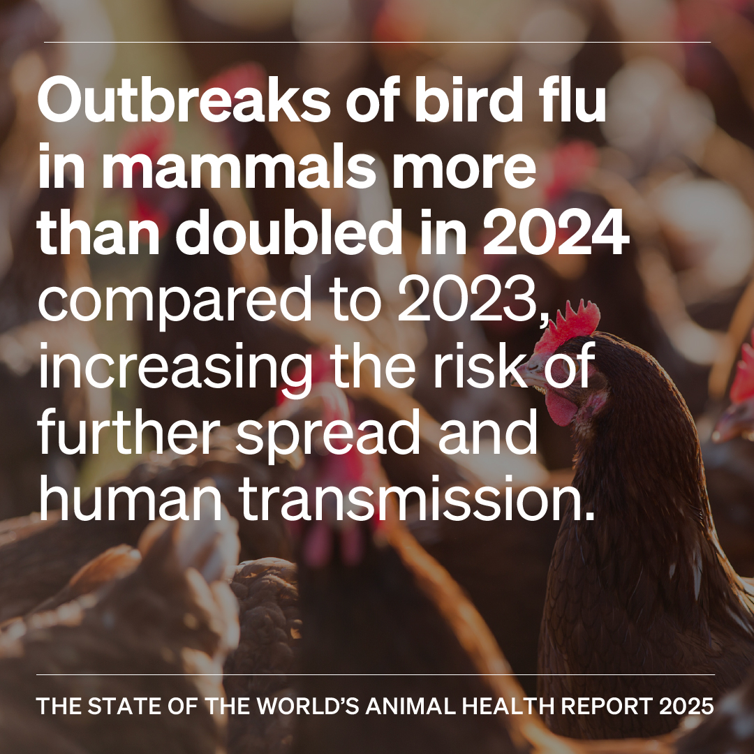 That's not all. These figures are not isolated, they reflect a wider, global shift. According to our latest report, infectious diseases are invading new regions and species, especially where ecosystems and food supplies are most vulnerable

Outbreaks of avian influenza in mammals
