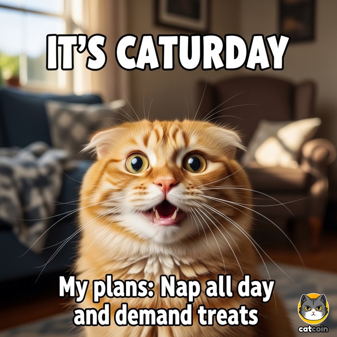 HAPPY DAY $CATS! $15 #USDT

• Follow <a href="/officialcatcoin/">Official Catcoin</a>
• Retweet
• And comment #Catcoin #Caturday #CryptoGiveaway 

24 hours