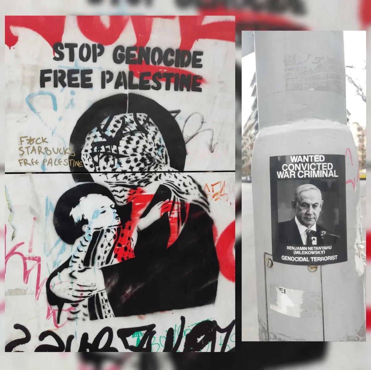 IRAD🇵🇸 tweet media