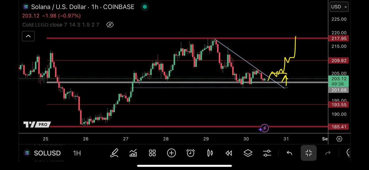 TraderSZ tweet media