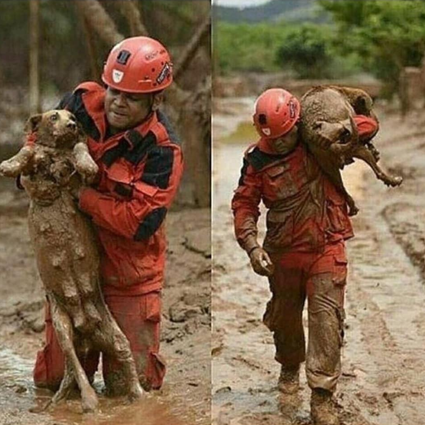 Thank you for saving this dog.🙏❤