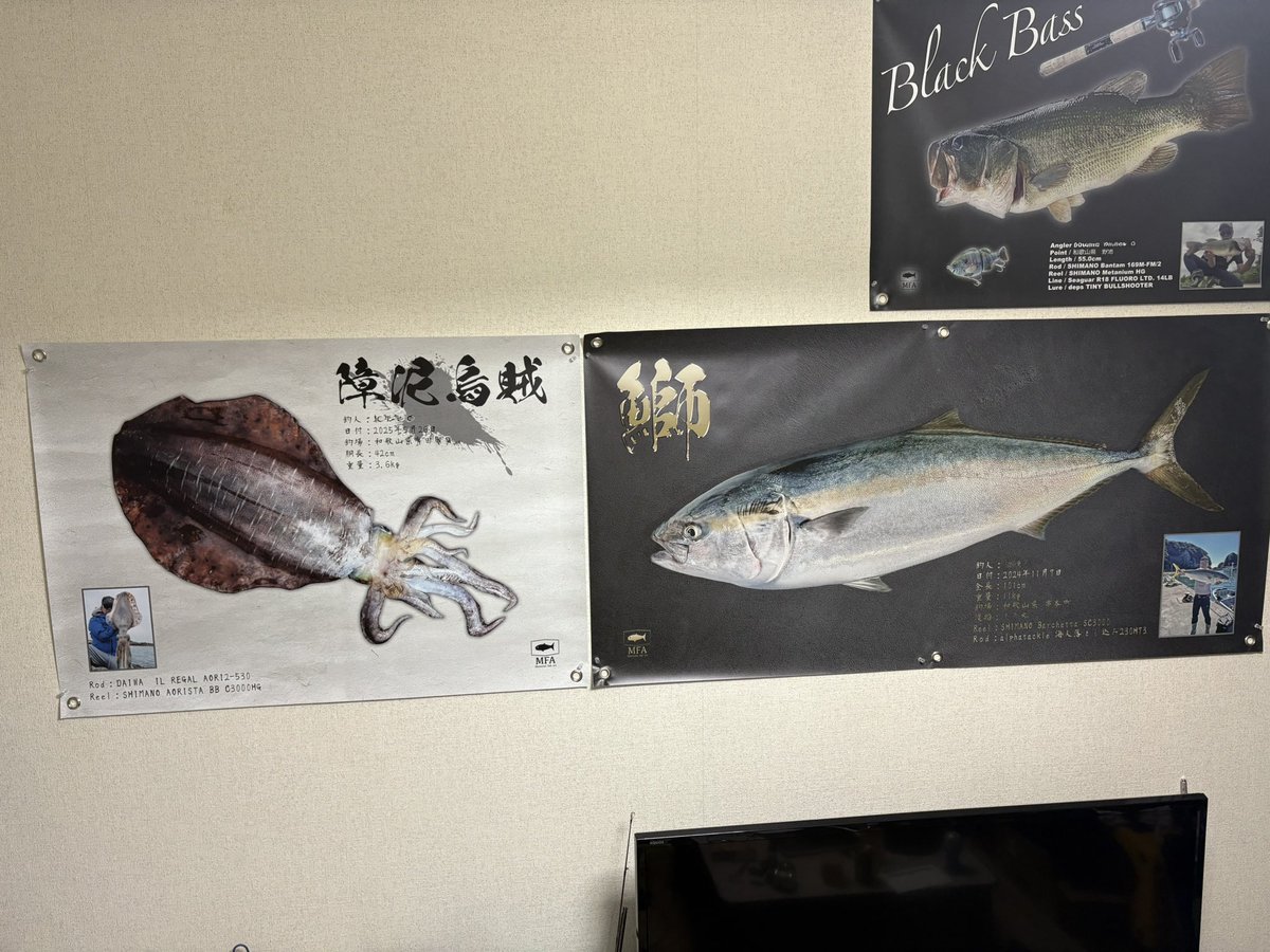 fukuhatta's tweet image. 今春自己記録のアオリイカのデジタル魚拓が到着🫡
今回で3枚目となる3.6kgのアオリイカが忠実に表現されて背景など拘って製作してもらいました😊
メモリアルフィッシュアートさんいつも有難うございます👍
メーターブリに引けを取らない思い出に残る一杯でした♪
#メモリアルフィッシュアート
#MFA