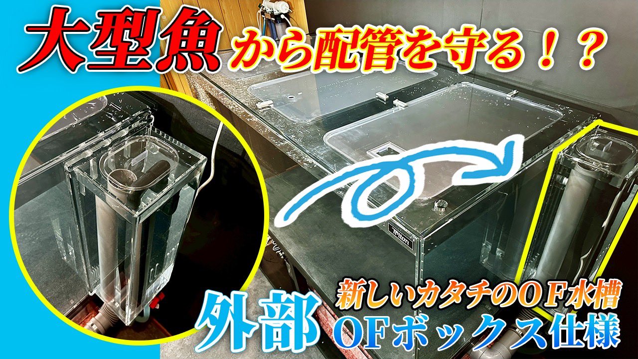 メーカーさん在庫処分水槽です メーカーさん在庫処分水槽です