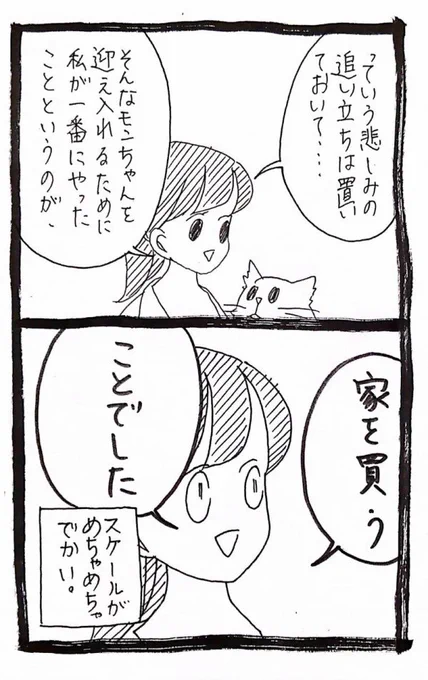 獣医さんちのモンちゃんとブランちゃんの話 