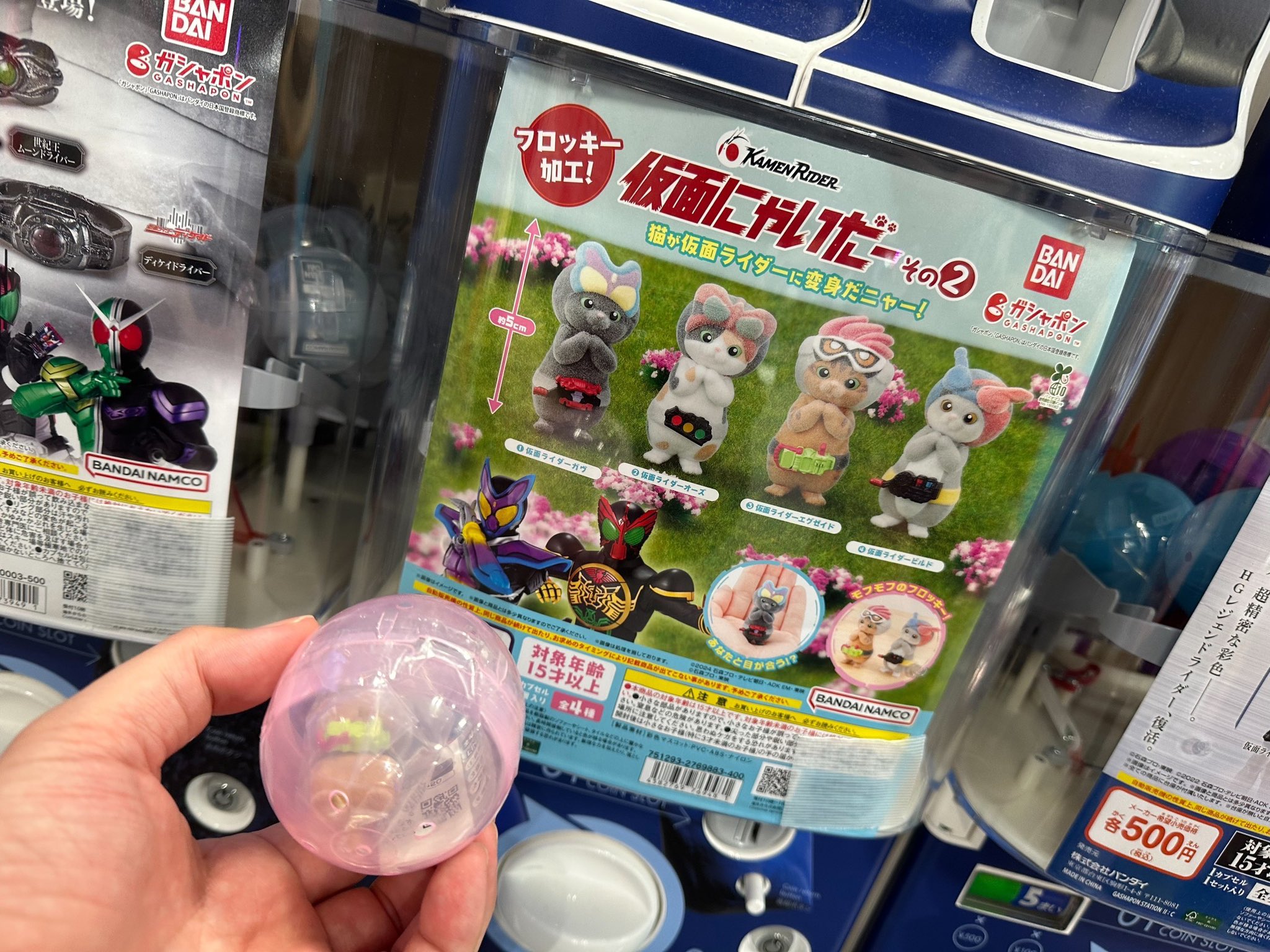 ｶｷﾝ•ﾁｬﾝ 8/31 東5チ06 COMIC CITY VEGA (@excite_masked) / X