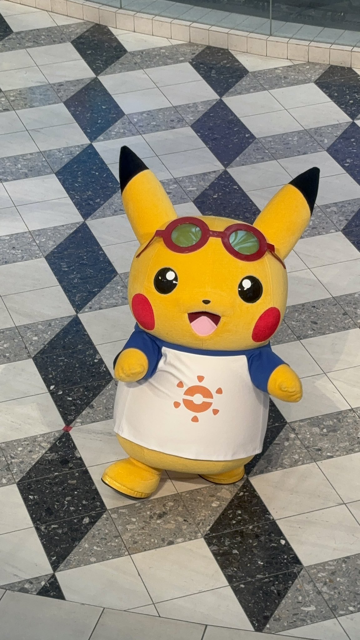 ピカチュウ14枚まとめ m72507139780_1.jpg?1702900328