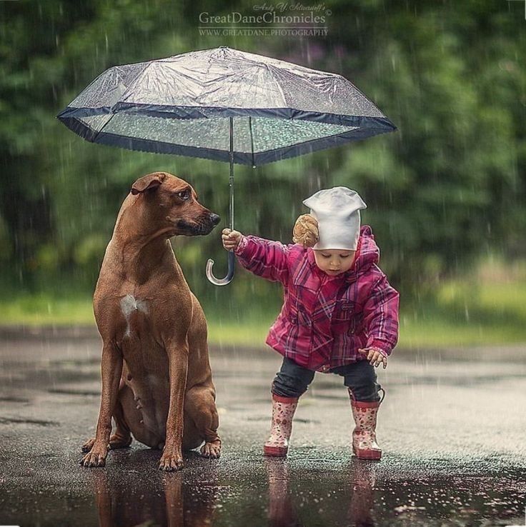 The world is changed by your example, not by your opinion.

Paulo Coelho