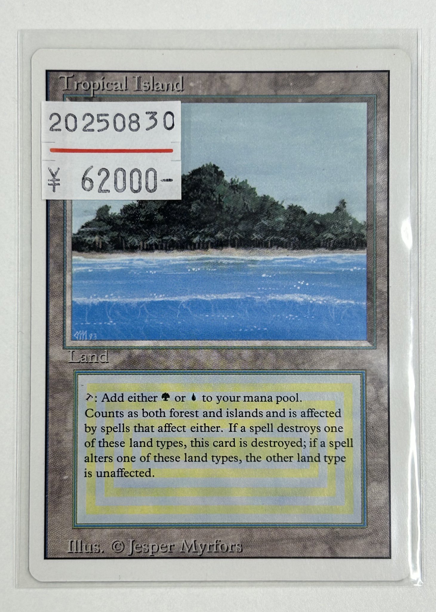 (shopsクーポン配布中)MTG Tropical  Tropical Island · 30th Anniversary Edition (30A) #279