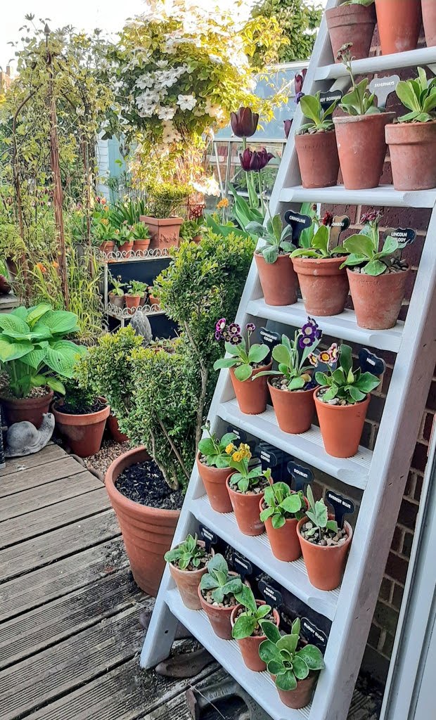 Morning all. 
A favourite old image...