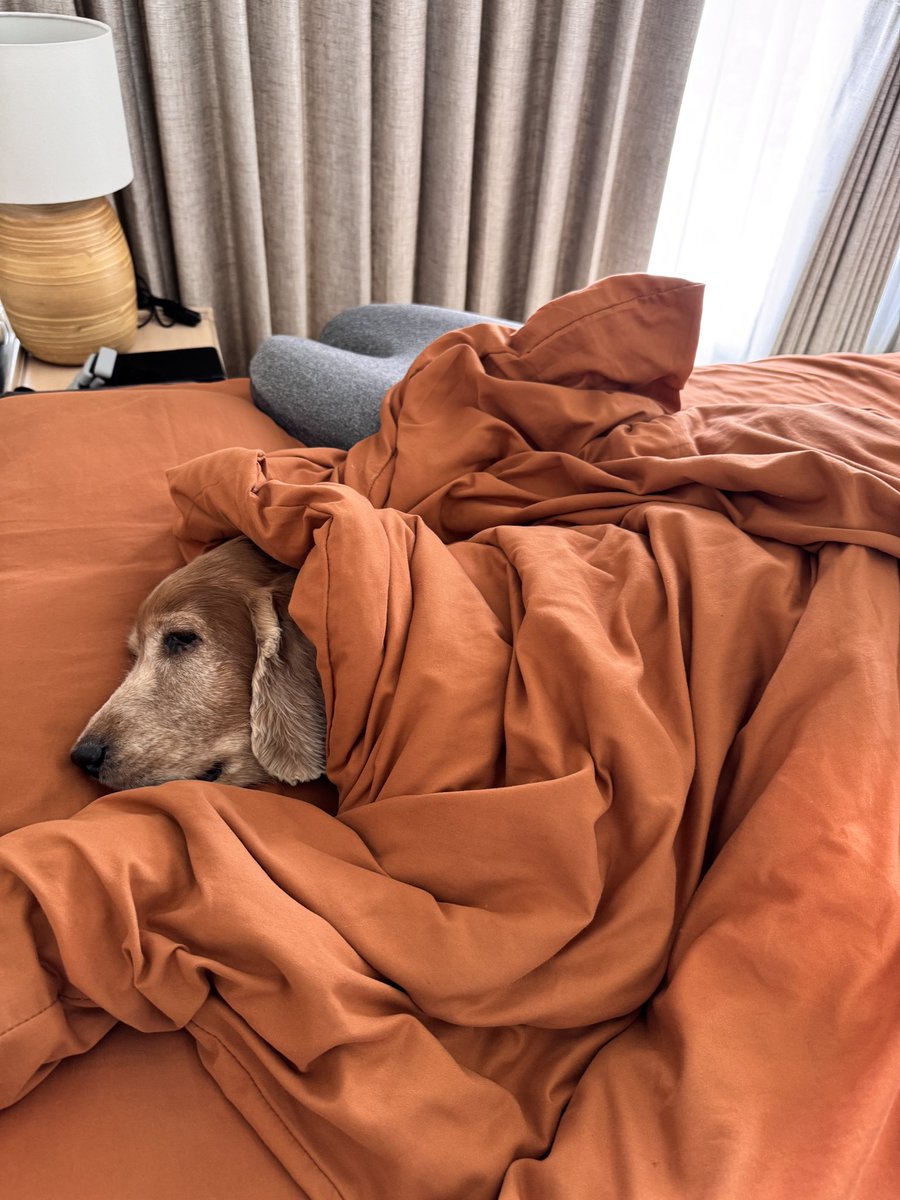 <a href="/sad5ky/">Shreyy</a>