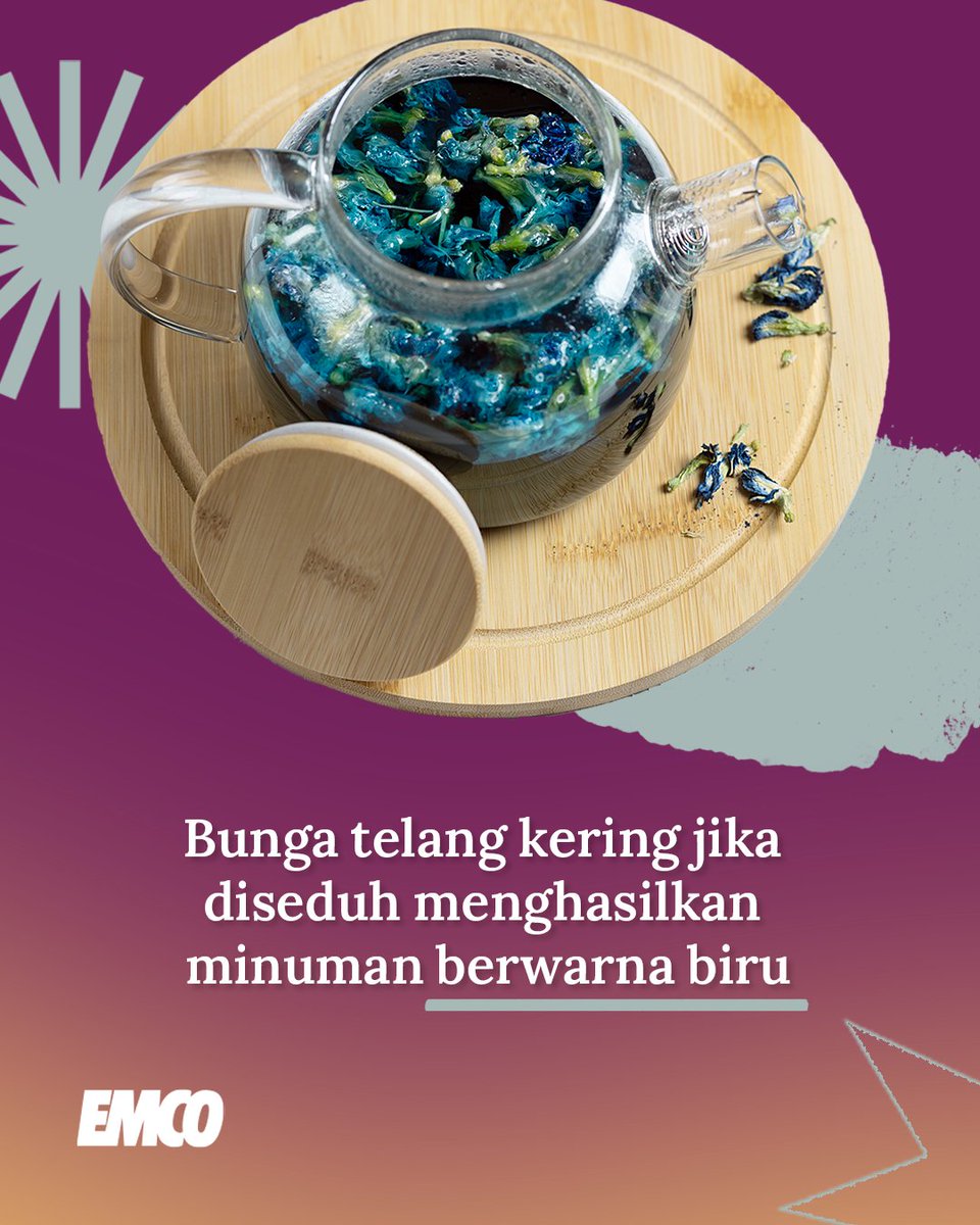 EMCOPaint's tweet photo. Satu bunga bisa hadirkan dua warna yang
berbeda💙💜, unik sekaligus memikat.
Keajaiban kecil ini bikin kita percaya kalau
alam selalu punya cara untuk memberi
kejutan indah
#EMCOpaint #EMCOlux #catkayubesi
#uniqueflowers #bungacantik
#BungaTelang https://t.co/7zamVIGOwH