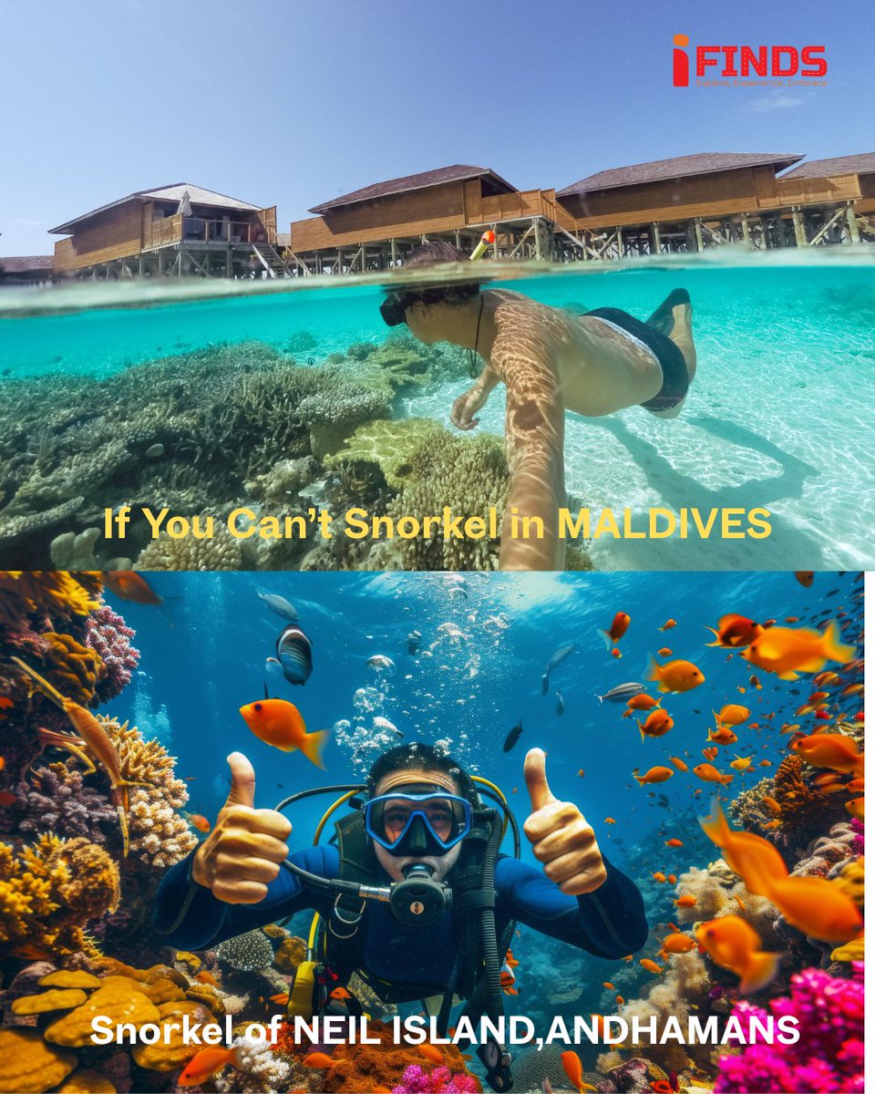 iFinds122911's tweet image. Why chase Thailand, Italy, or France when India’s Andaman Islands are waiting with turquoise beaches, hidden caves &amp;amp; bioluminescent nights?
.
.
#ifinds #andamantourism #AndamanNicobarNews #andamanexplorers #andamanbeach #travelers #andaman2025 #travelindia #andamanvibes