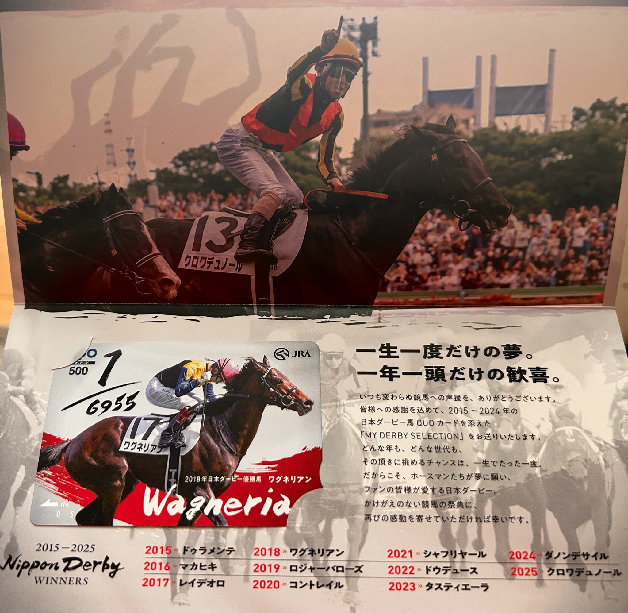 【競馬】ワグネリアン・日本ダービー優勝記念Tシャツ／Lサイズ／JRA／福永祐一 日本ダービー、ワグネリアンが制す ダノンプレミアムは6着