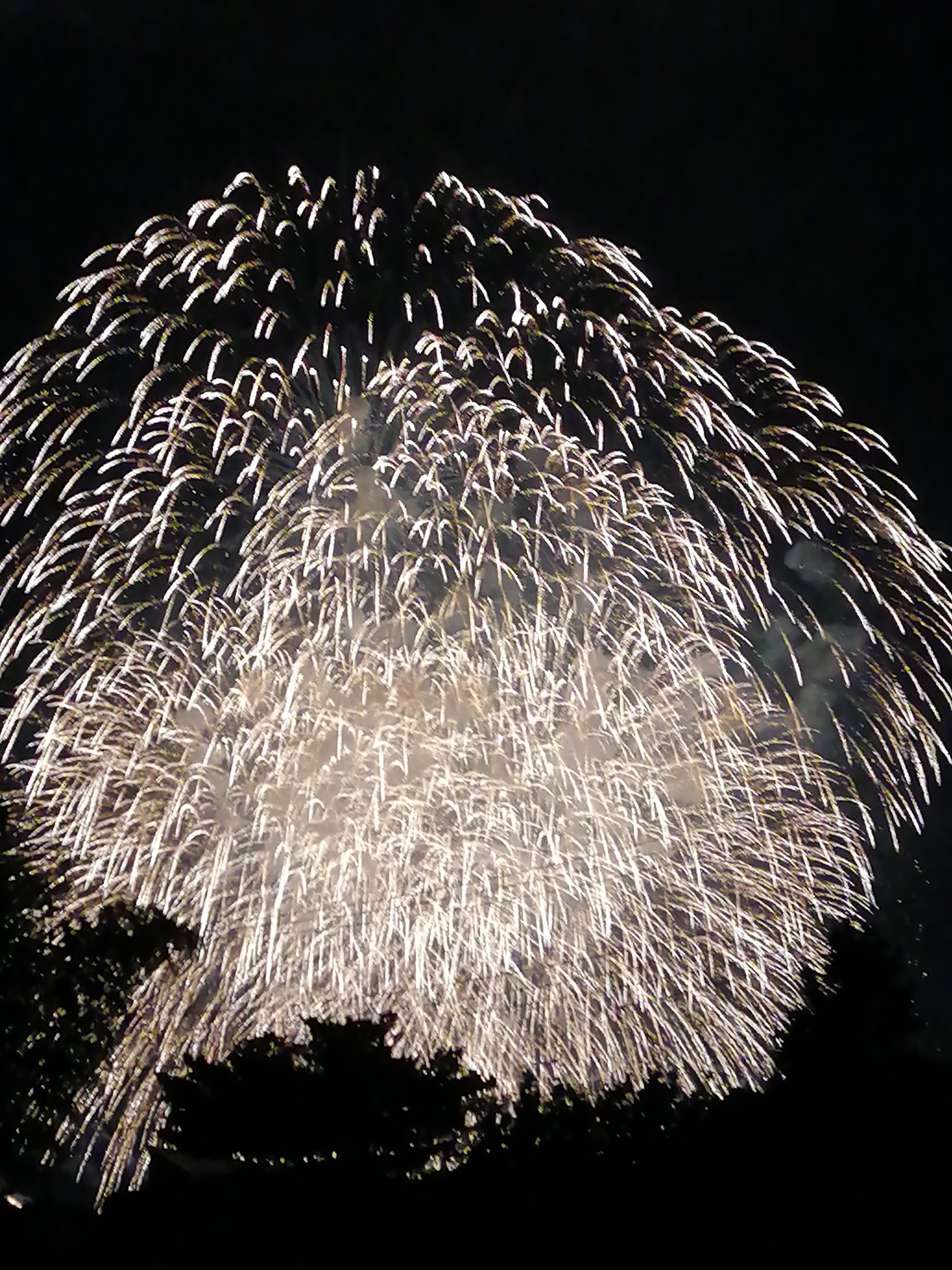 大花火 赤川花火大会2025 2025/8/16 α7RV 25mm F13 ISO100 SS10