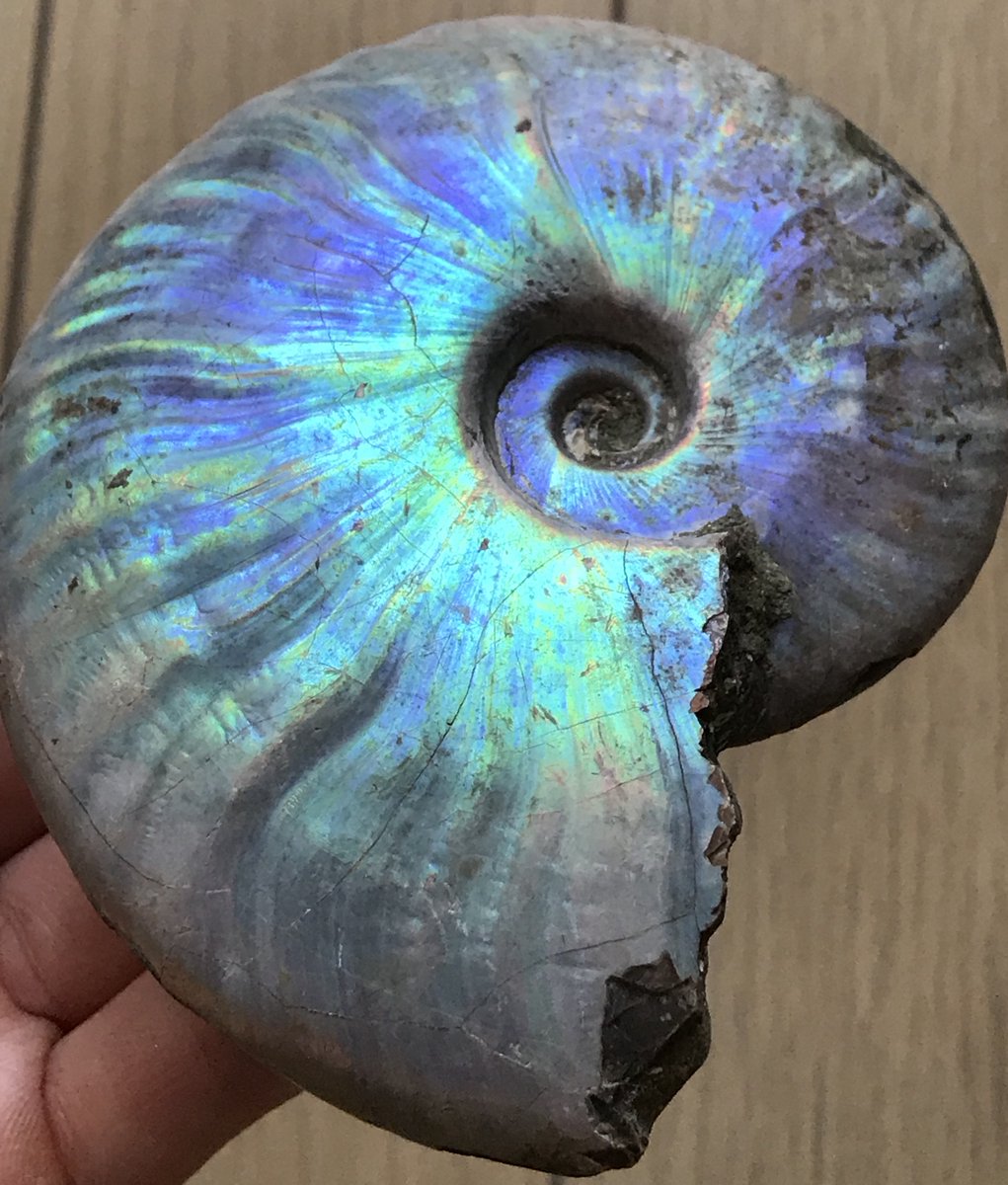 【専用】アマゾナイト　skygray様 高い人気を誇る「Ninja ZX-25R」が完全新金型でアオシマ「SKYNET