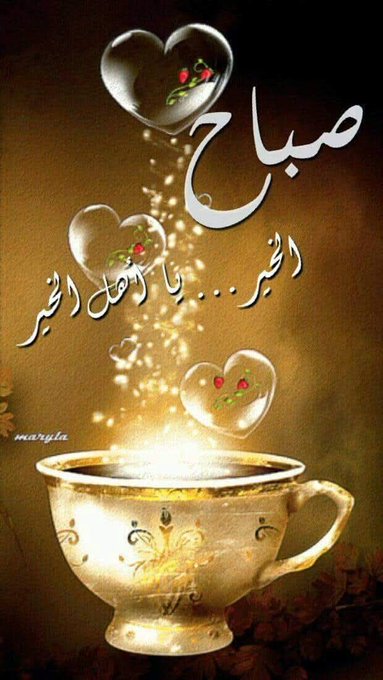 صباحكم جميل كجمال قلوبكم  الطيبه
صباح الورد  يامن  يحلو بهم الصباح     
صباح الخير ات لمن يزهرون القلب بحروفهم الجميله  وأبتساماتهم الرقيقه
صبحكم الله بالخير 🌹❤️🥀
