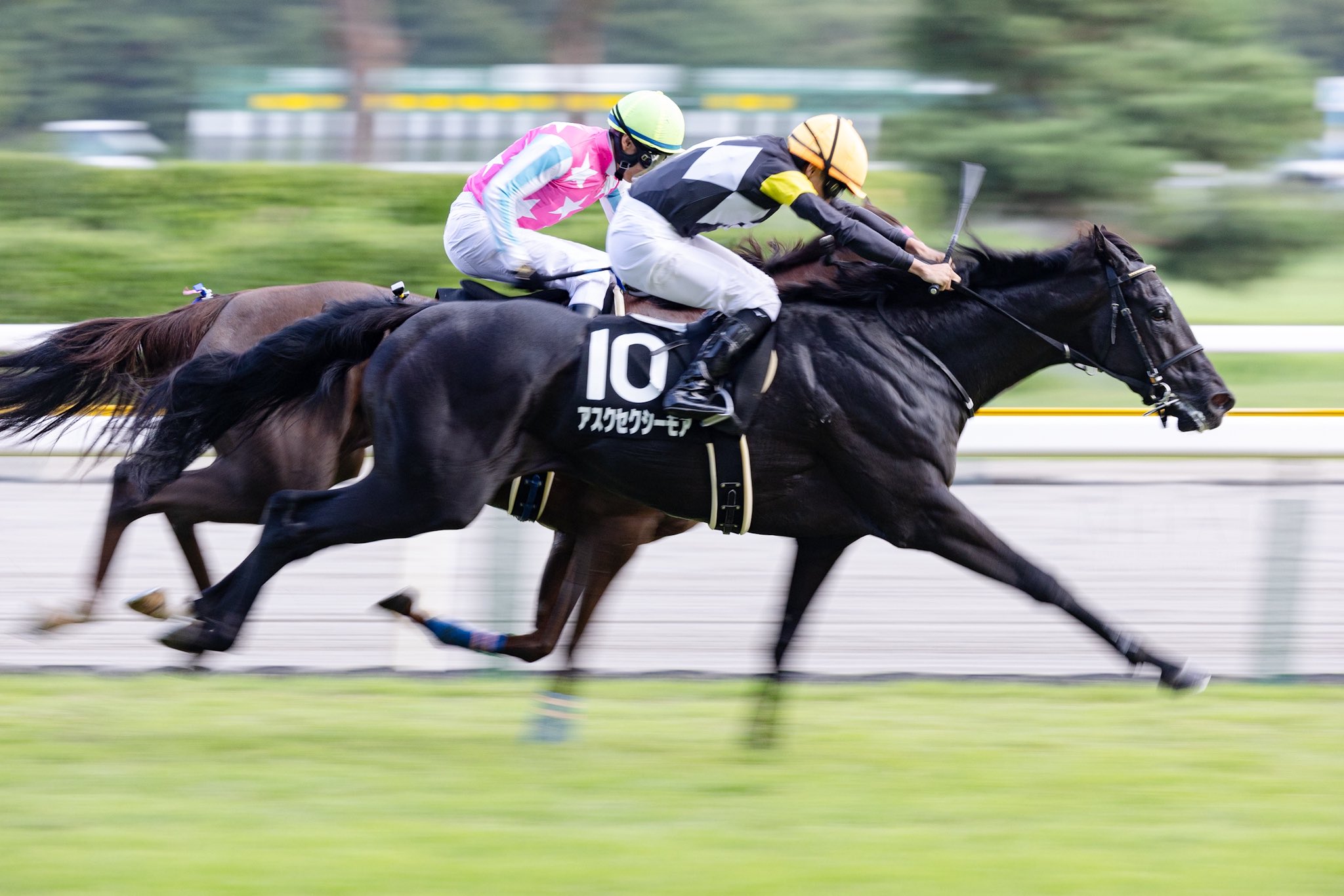 Mukoyama@キタサンブラック産駒応援アカウント