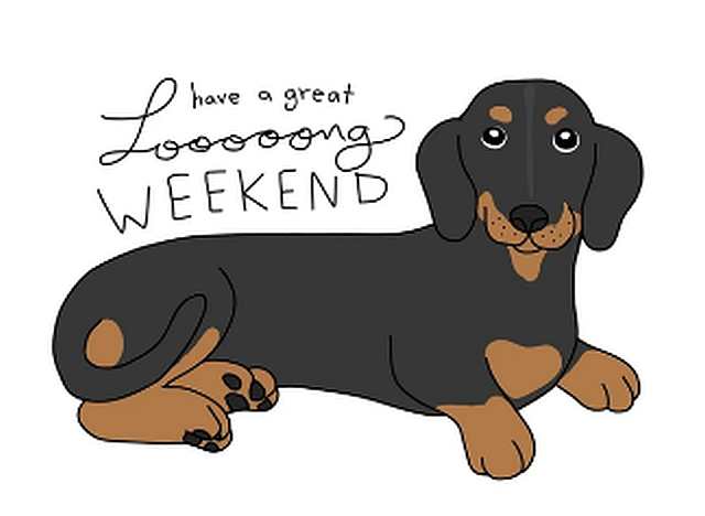 Stittsville Central (@stittscentral) on Twitter photo 