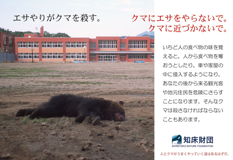 知床横断道路の山頂駐車場近辺にてトウモロコシが捨てられていました
周辺ではヒグマの目撃が頻繁にあり、駐車場が閉鎖されている状態です
ゴミの不法投棄は絶対にやめてください
shiretoko.or.jp/activity/higum…