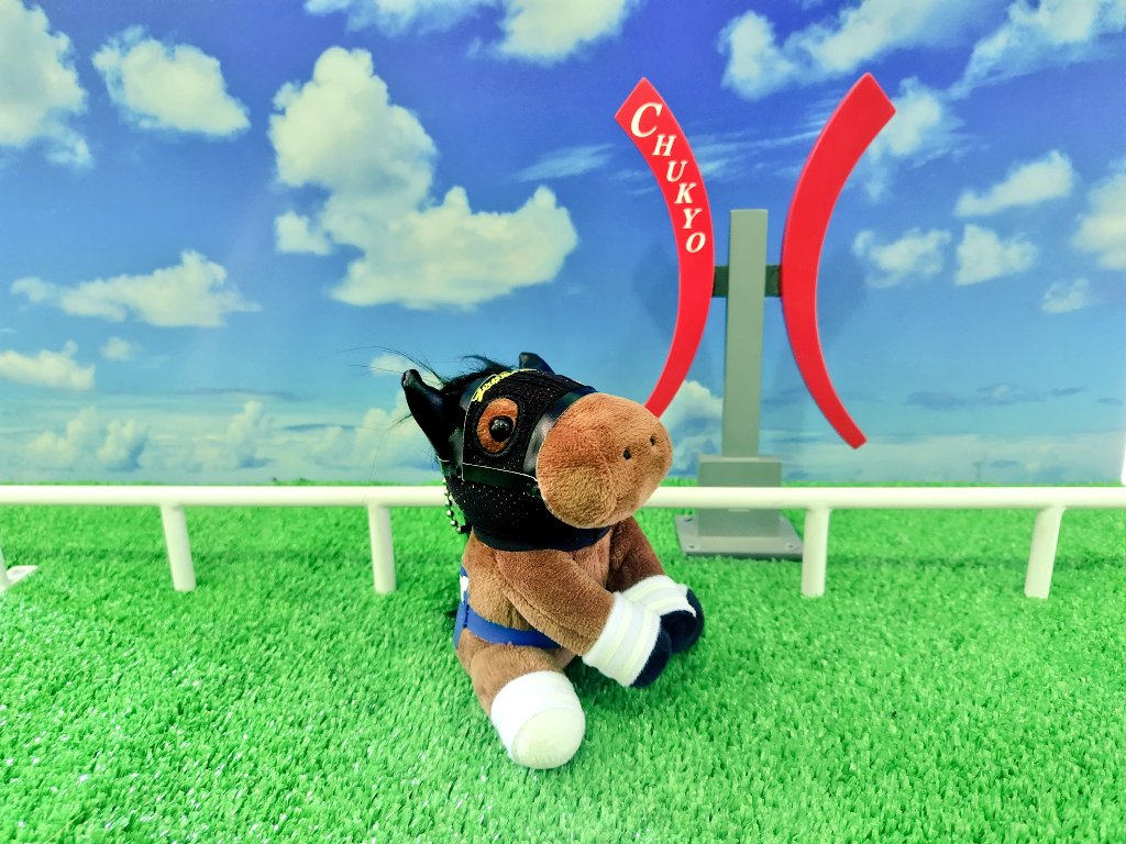 お散歩暑かったです🐴