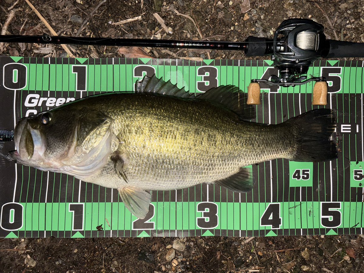 AKチャ太郎 (@HAYATE74MH) / Posts / X