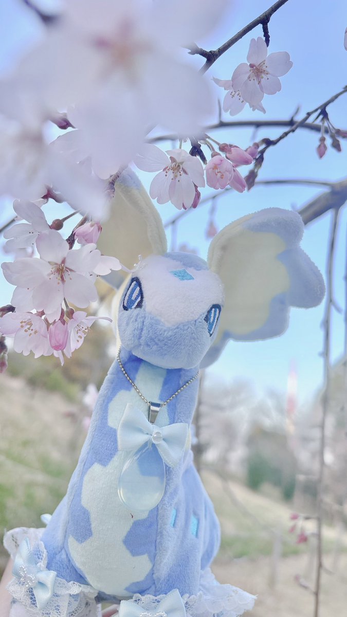 #見た人はお花と写ったぬい写真をアップする